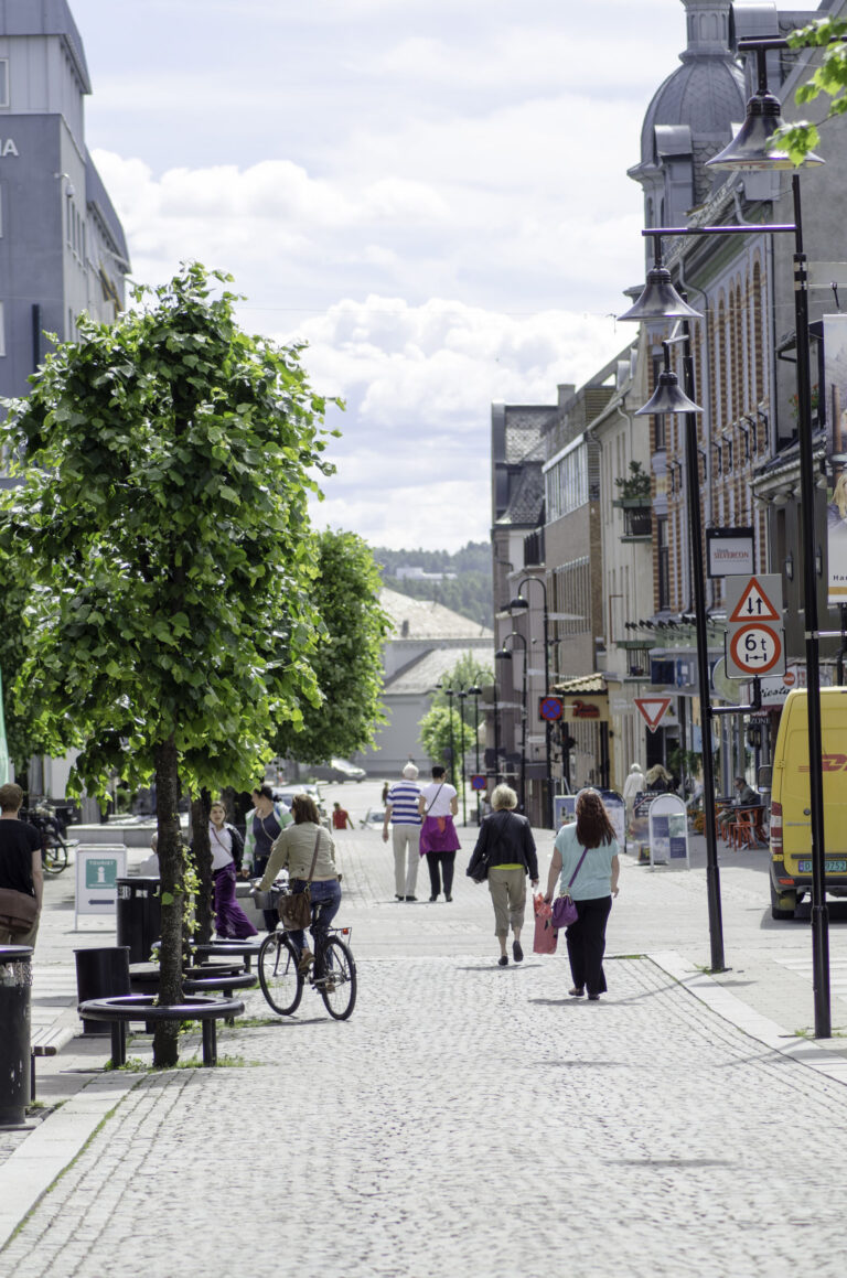 Livfulla lokalsamhällen (illustrerad med foto av gågatan, Hamar)